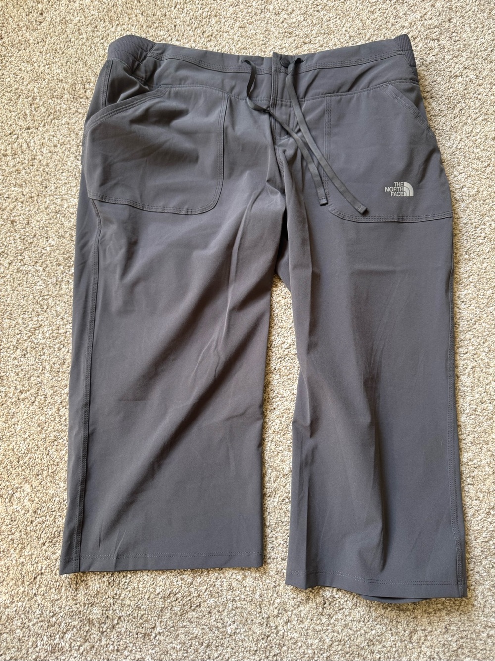 The North Face Women’s Gray Performance Pants Size L